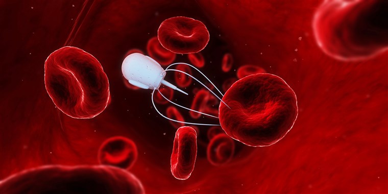 Microbots That Can Navigate Human Blood Cells
