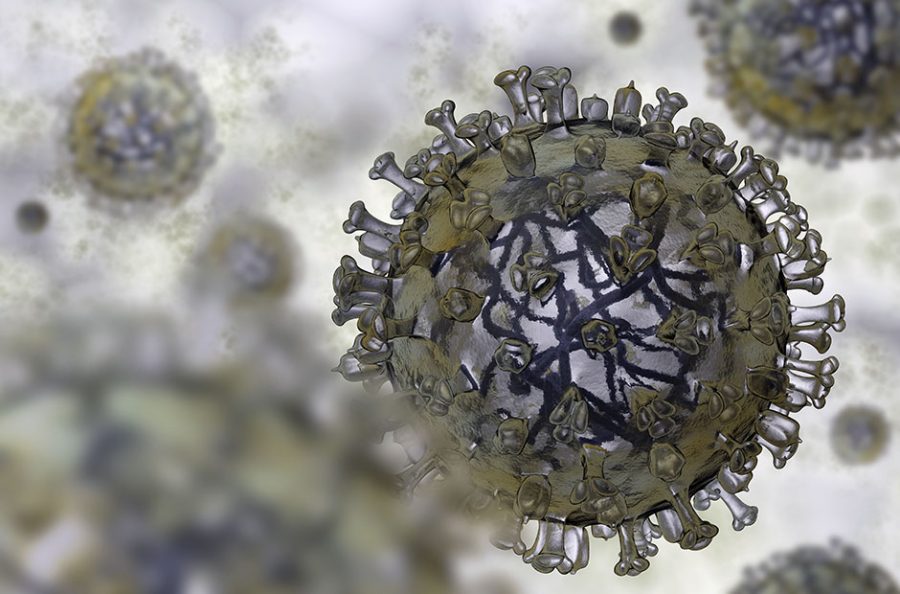 A picture of the Influenza A virus under a microscope.