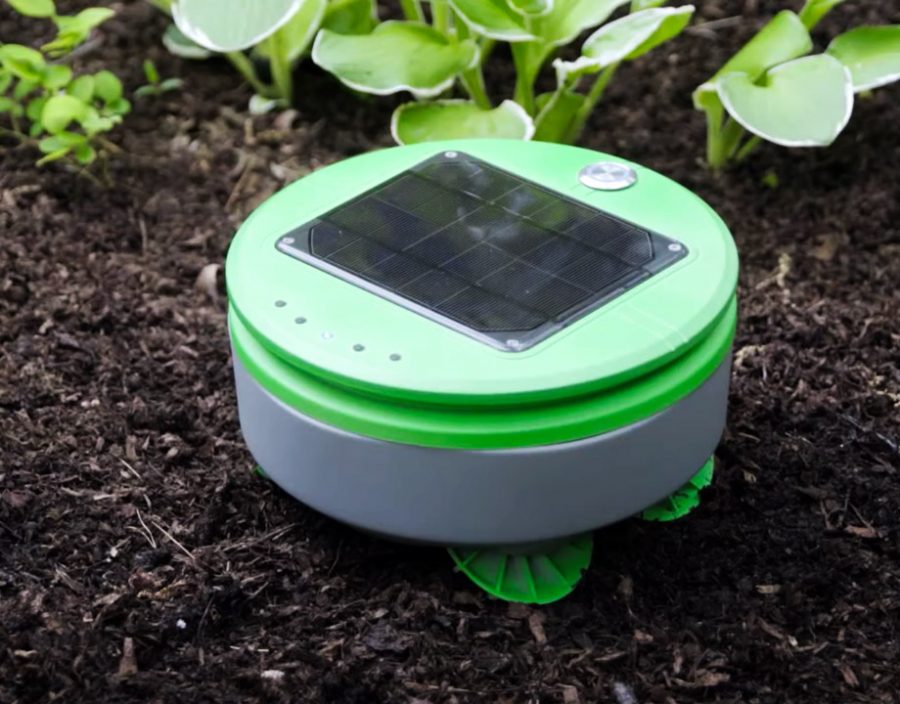 A Robot Garden Weeder