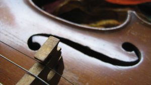 Violin Closeup