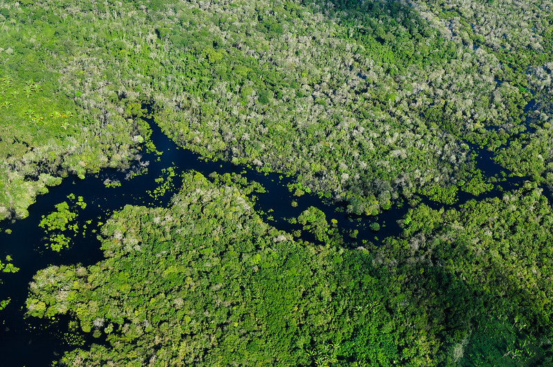 Amazon Rainforest by CIFOR is licensed under CC BY-NC-ND 2.0