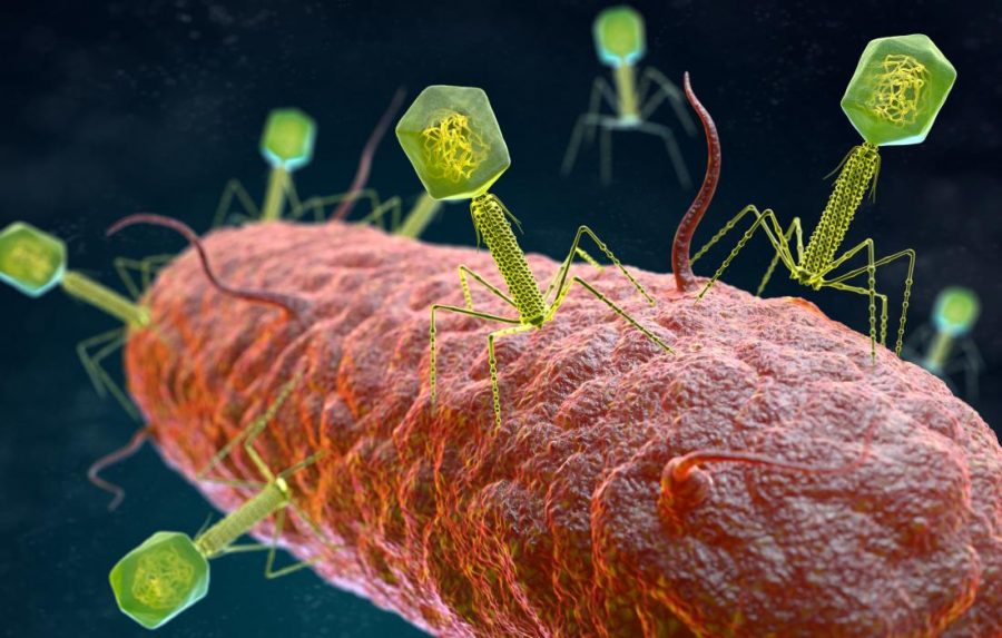 Image Source: medicalnewstoday.com
