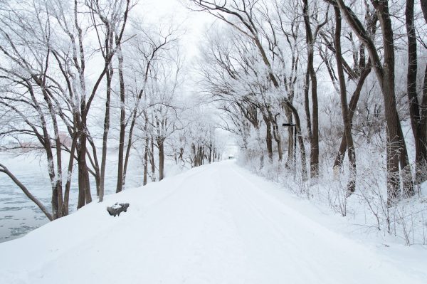 dirt road cover by snow