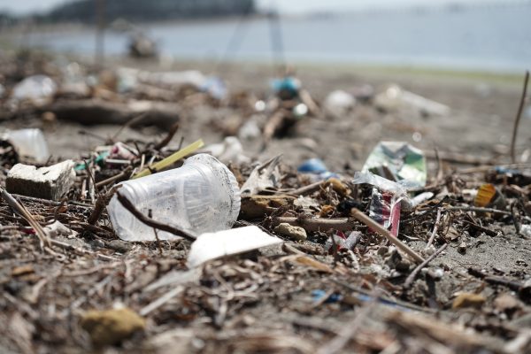 white plastic bottle on brown dried leaves