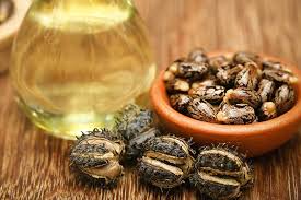 Is Castor Oil useful?